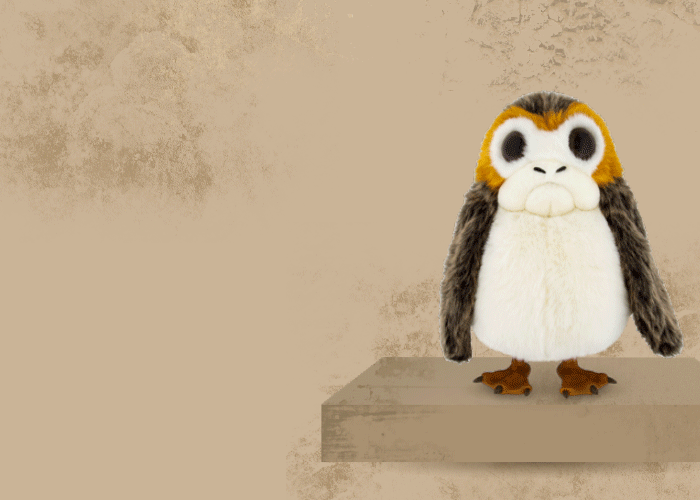 Last Chance to Buy Shipment #2 Cargo