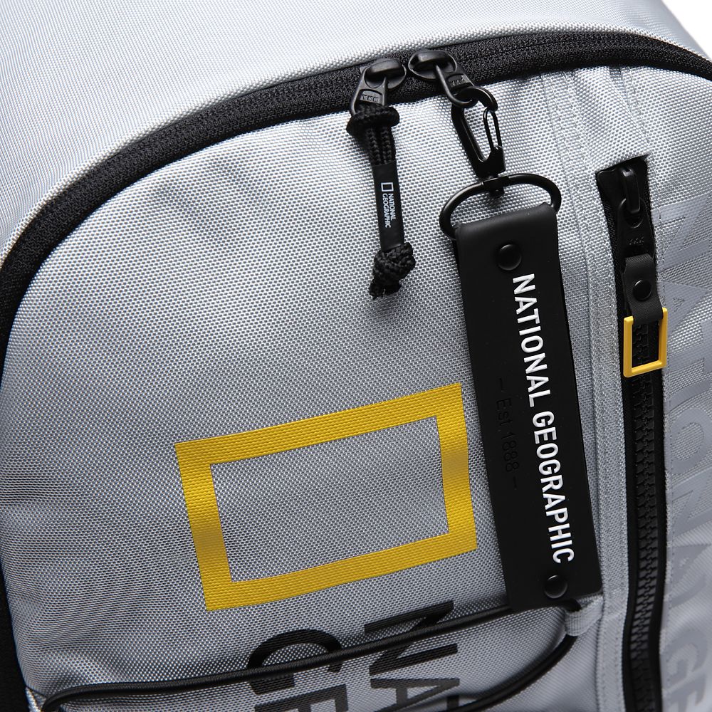 National Geographic Backpack – Gray