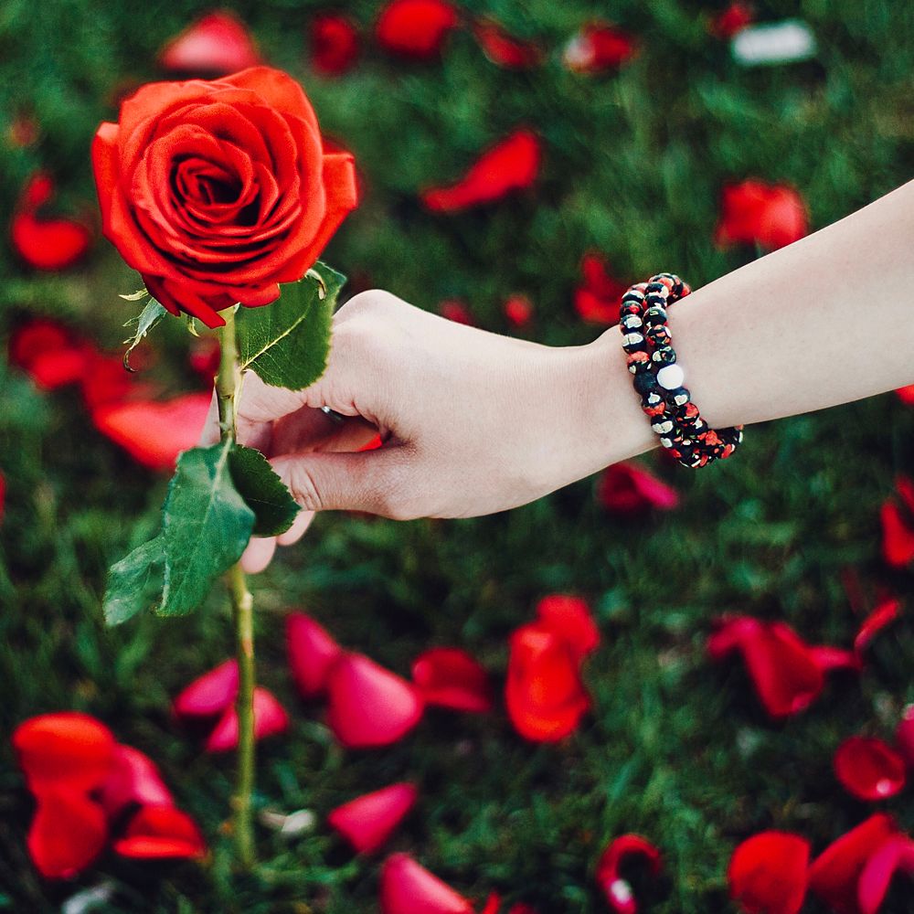 Beauty and the Beast Bracelet by Lokai