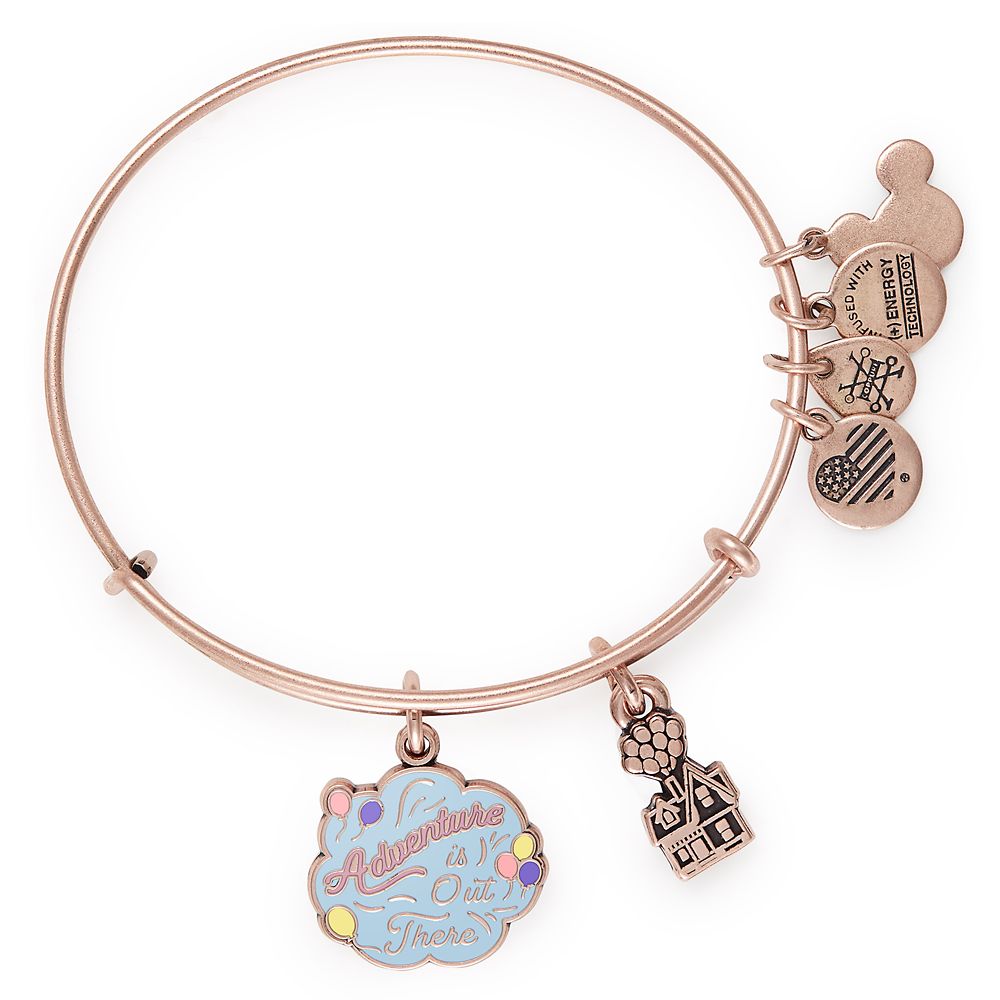 Up Bangle by Alex and Ani is now out