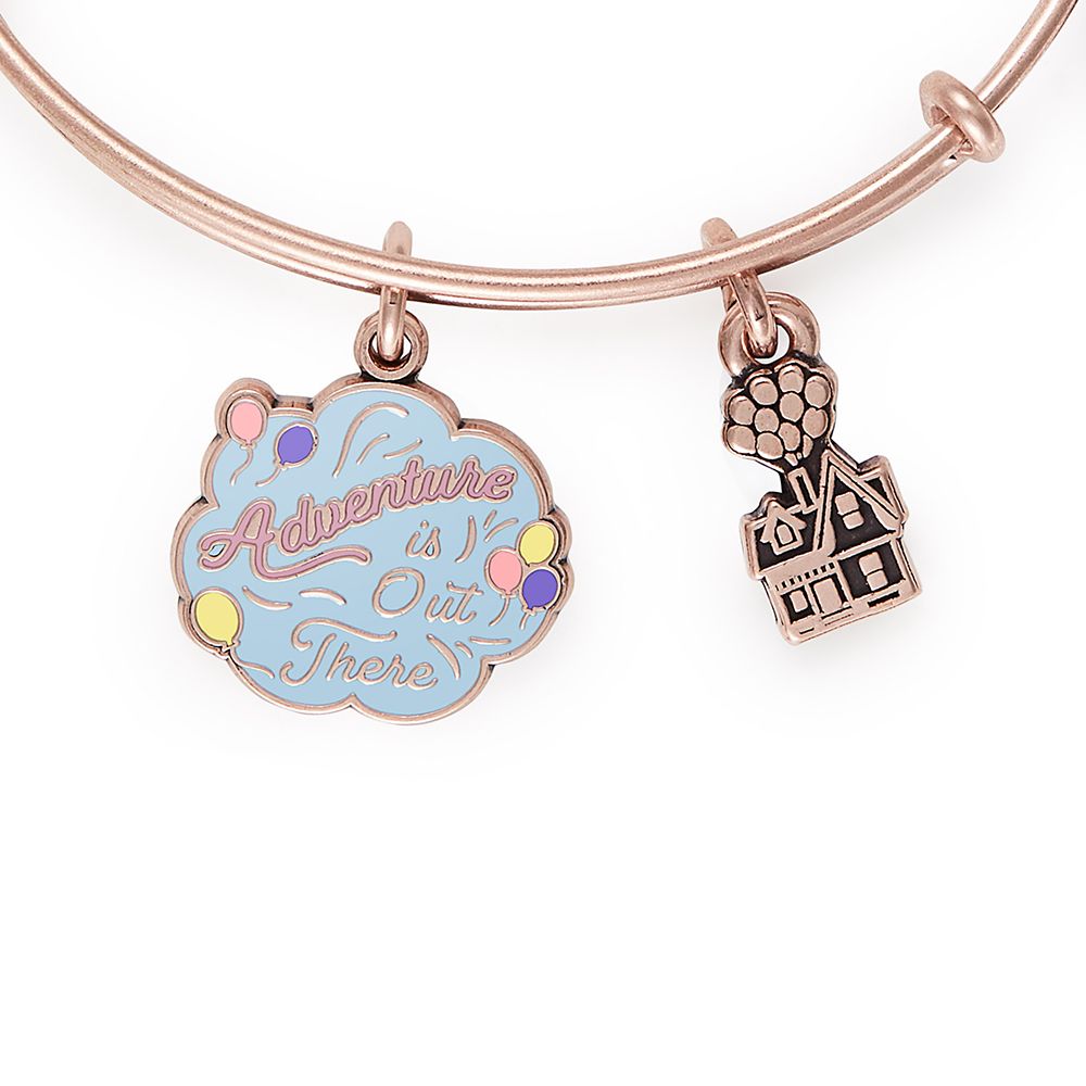 Up Bangle by Alex and Ani