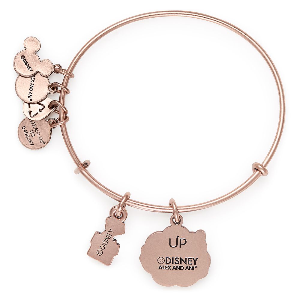 Up Bangle by Alex and Ani