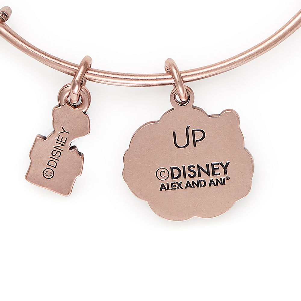 Up Bangle by Alex and Ani