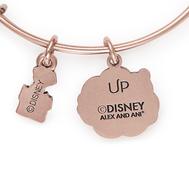 Say Yes to New Adventures Bangle – Alex and Ani