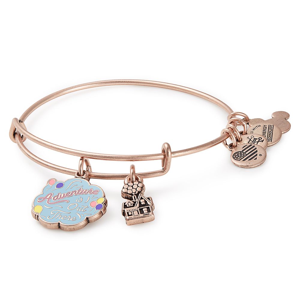 Up Bangle by Alex and Ani