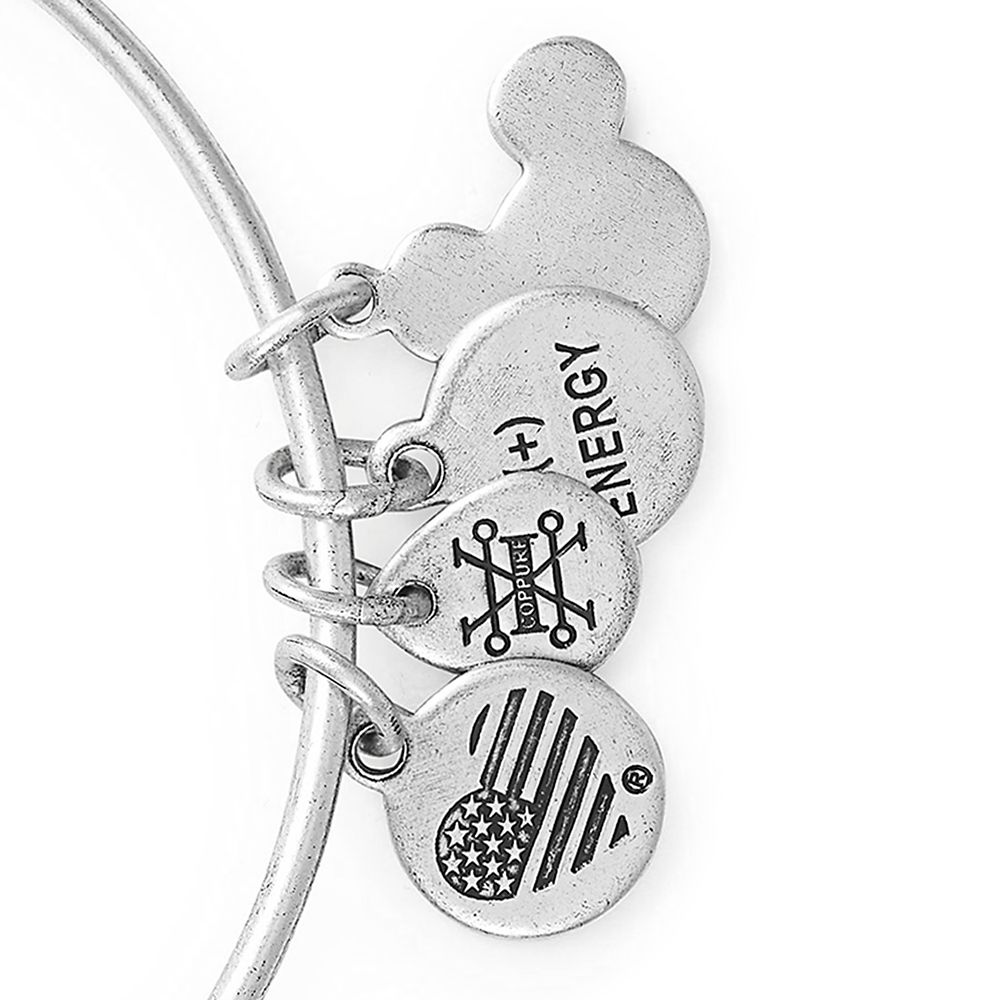 Fantasyland Castle ''Where Dreams Come True'' Bangle by Alex and Ani