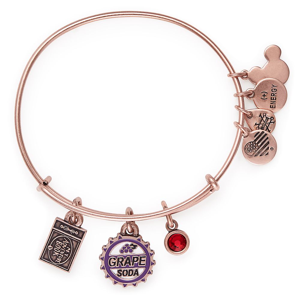 Grape Soda Bangle by Alex and Ani – Up