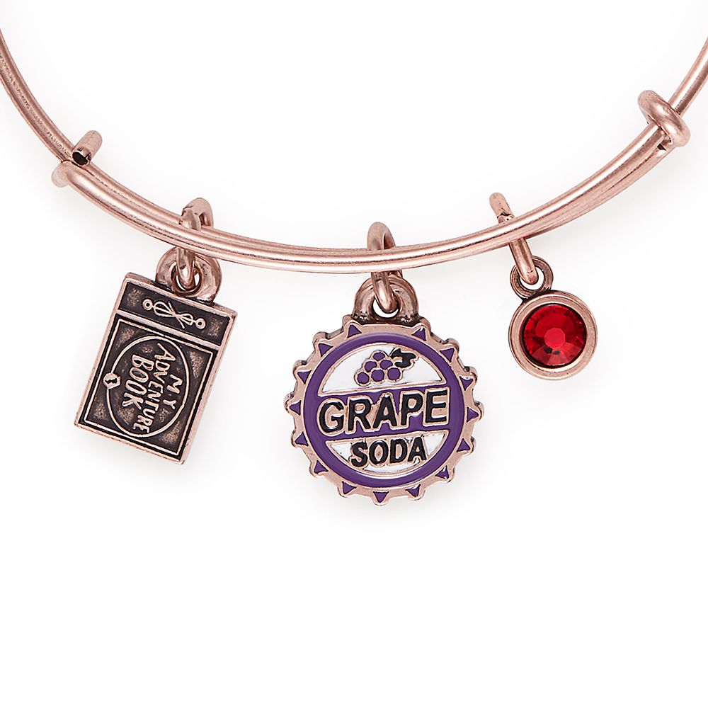 Grape Soda Bangle by Alex and Ani – Up