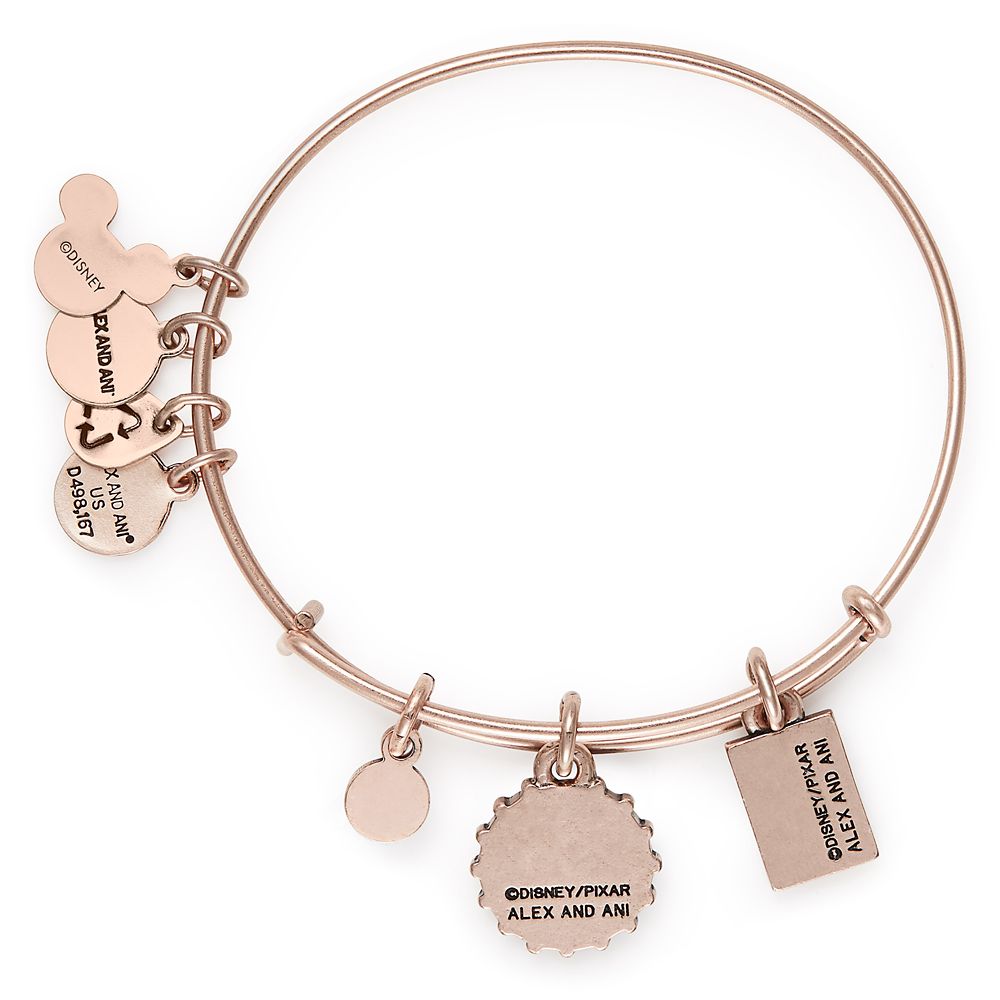 Grape Soda Bangle by Alex and Ani – Up