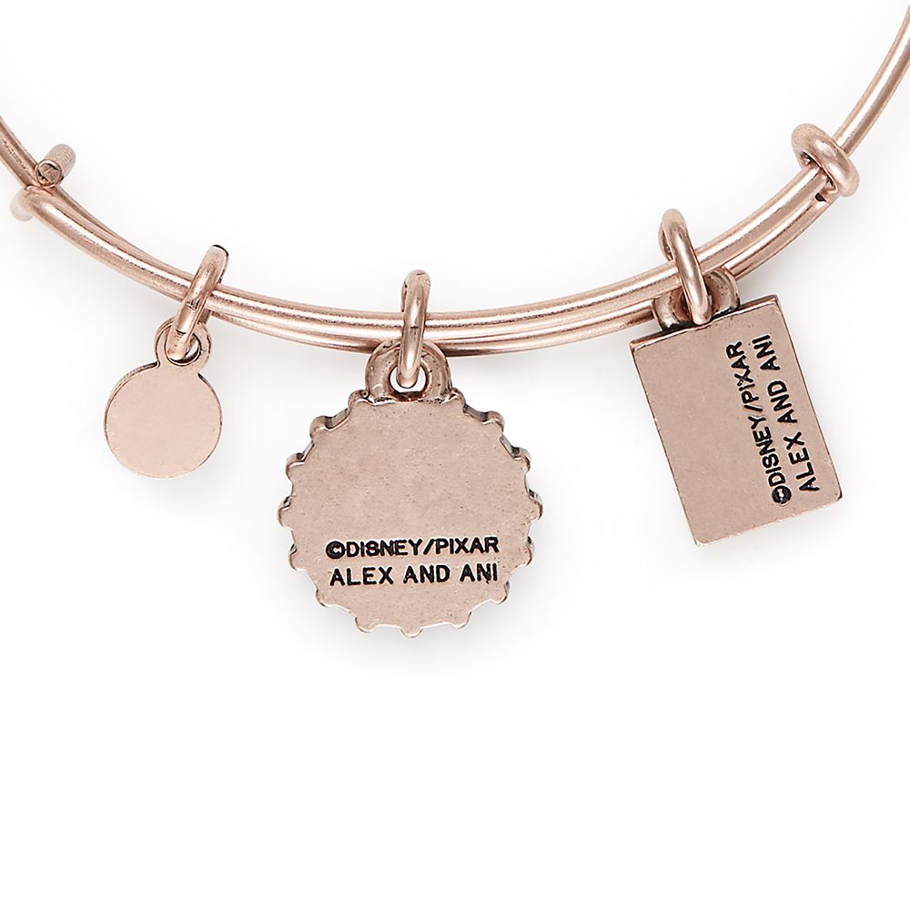 Grape Soda Bangle by Alex and Ani – Up