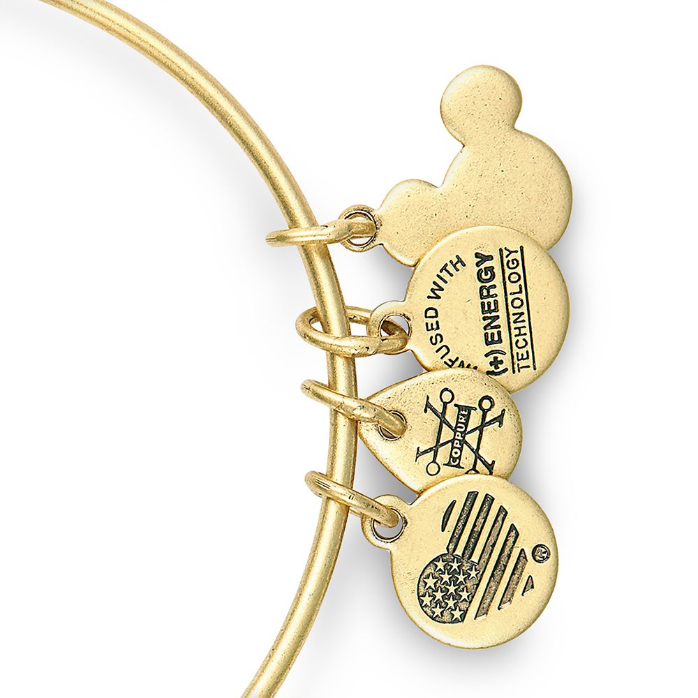 Snack Time Bangle by Alex and Ani