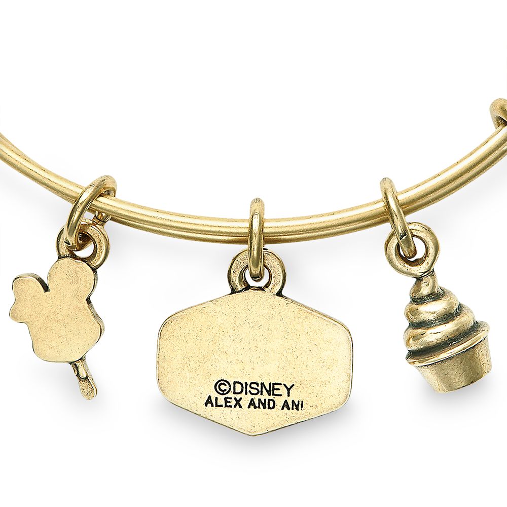 Snack Time Bangle by Alex and Ani