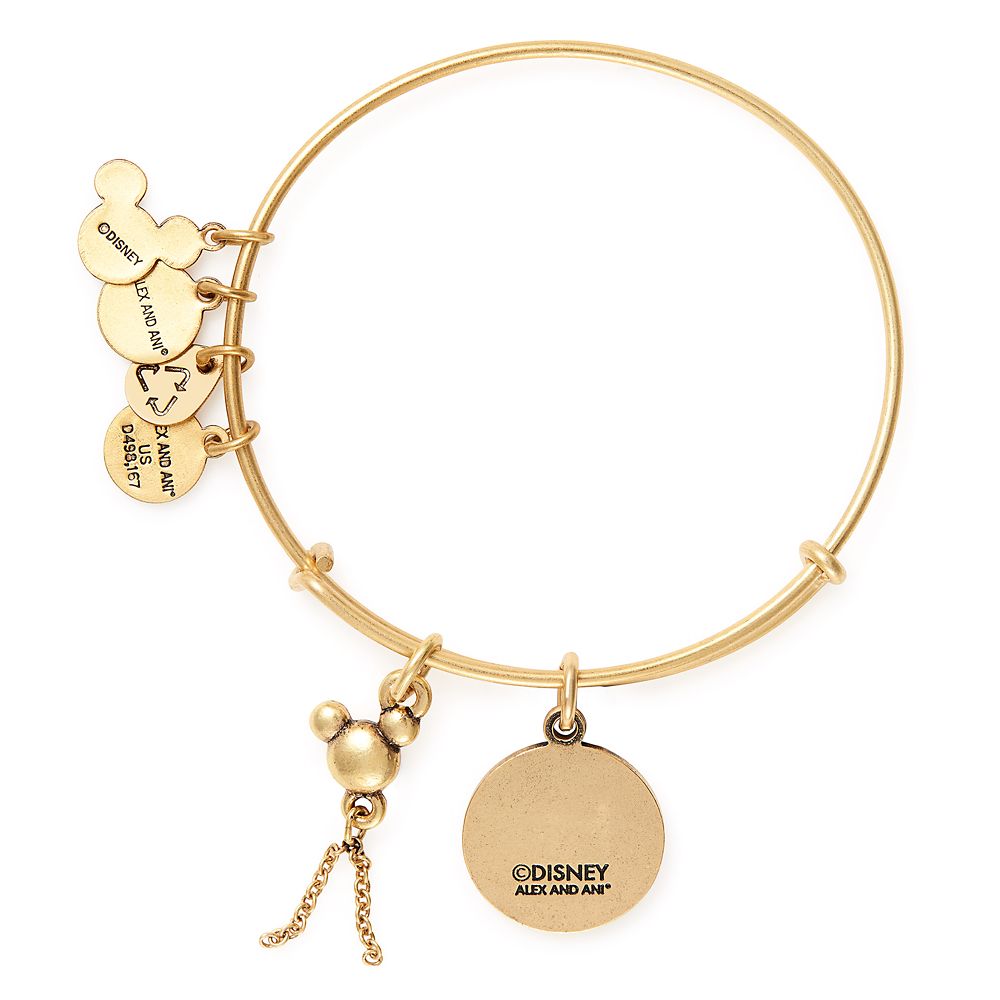 Alex and ani hot sale marine bracelet