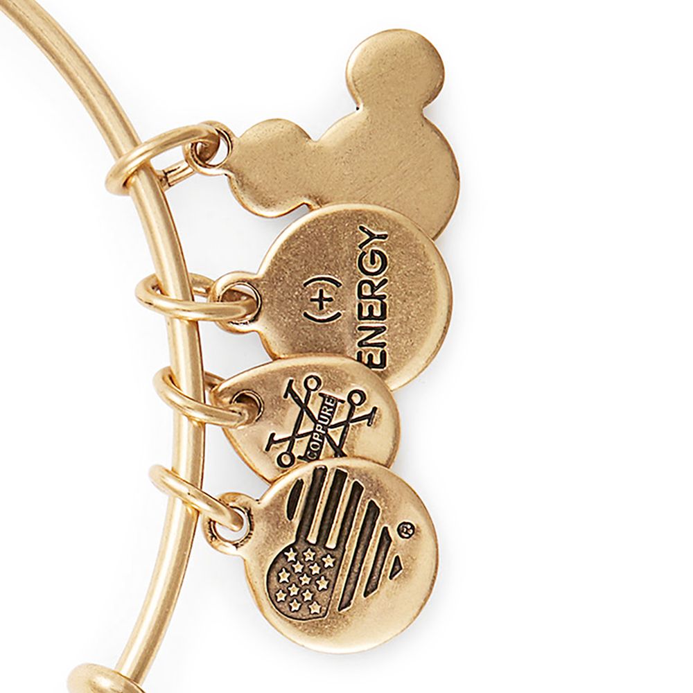 Fantasyland Castle ''End the Day with Fireworks'' Bangle by Alex and Ani