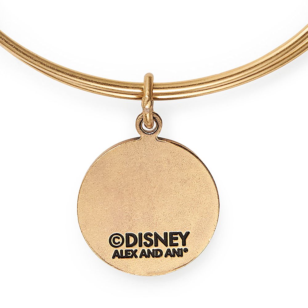 Fantasyland Castle ''End the Day with Fireworks'' Bangle by Alex and Ani