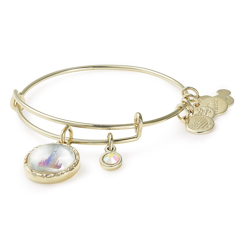 Walt Disney World 50th Anniversary Bangle by Alex and Ani