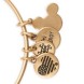 Beauty and the Beast ''Find True Beauty Within'' Bangle by Alex and Ani