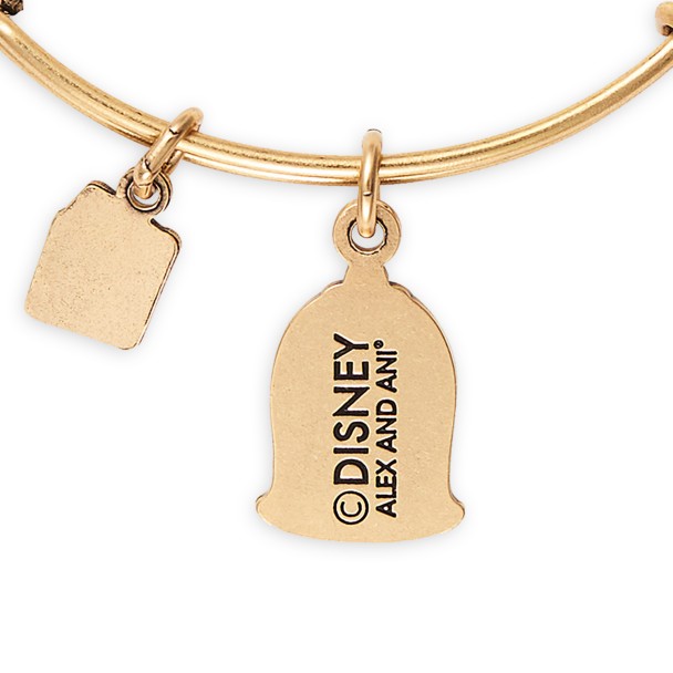 Beauty and the Beast ''Find True Beauty Within'' Bangle by Alex and Ani