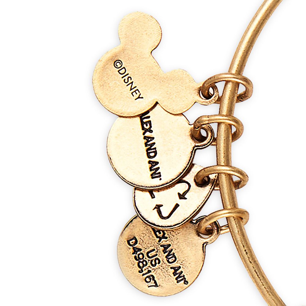 Beauty and the Beast ''Find True Beauty Within'' Bangle by Alex and Ani