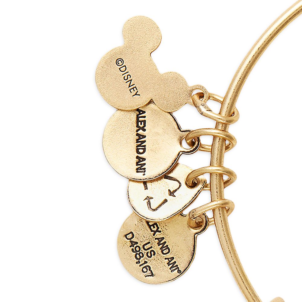 Moana Symbols Bangle by Alex and Ani