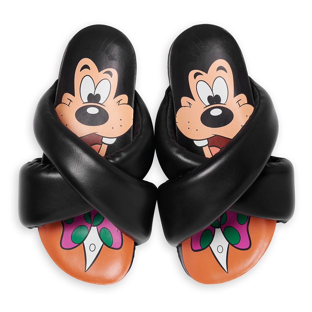 Goofy Slides for Adults