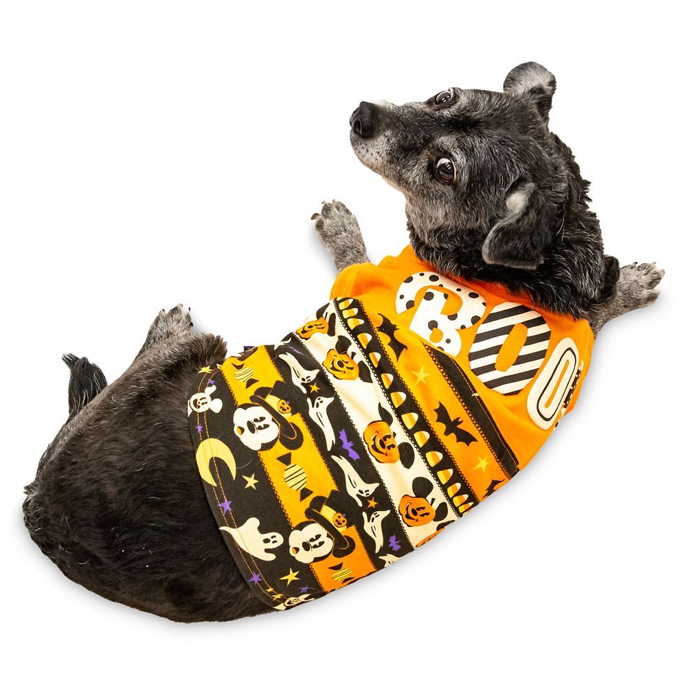 Mickey Mouse Halloween Spirit Jersey for Dogs