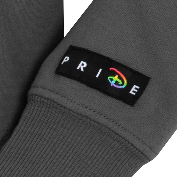 Pixar Pride Collection Sweatshirt for Adults