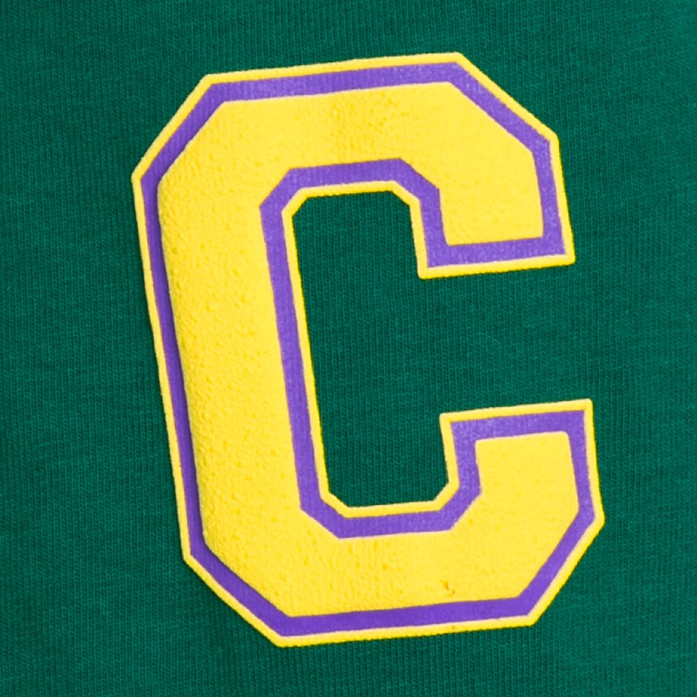 The Mighty Ducks 30th Anniversary Spirit Jersey for Adults