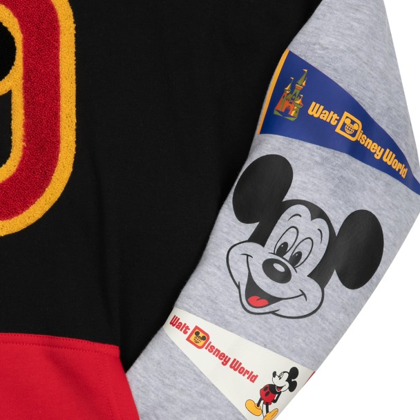 Walt Disney World Pennant Pullover Hoodie for Adults