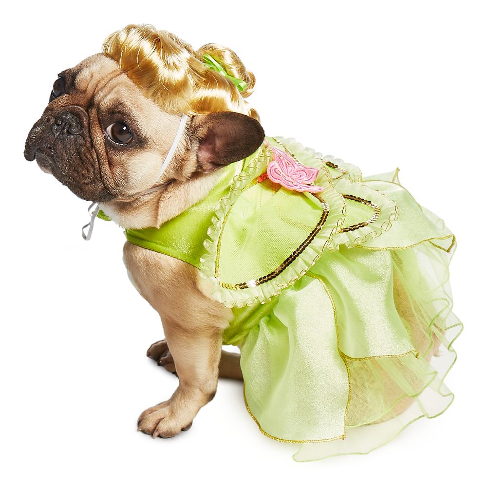 Tinker Bell Pet Costume