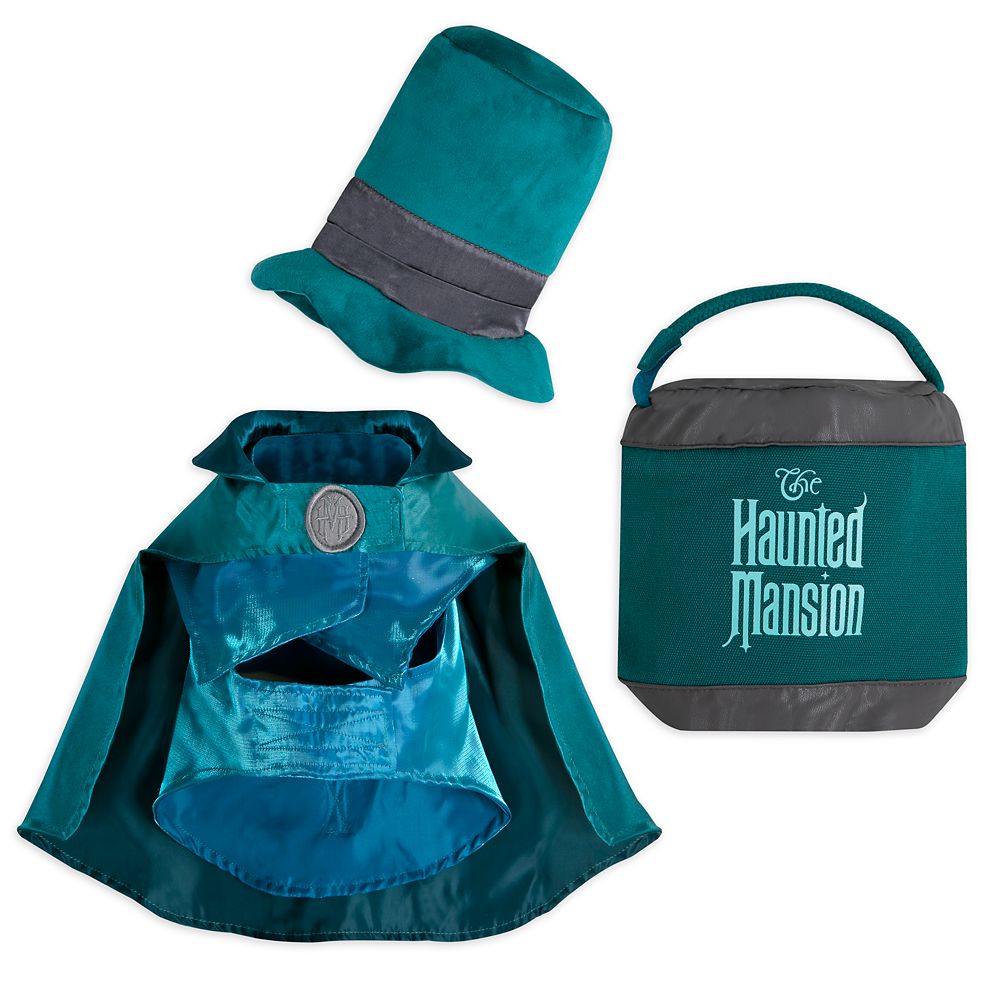 Hatbox Ghost Pet Costume and Toy Set – The Haunted Mansion here now