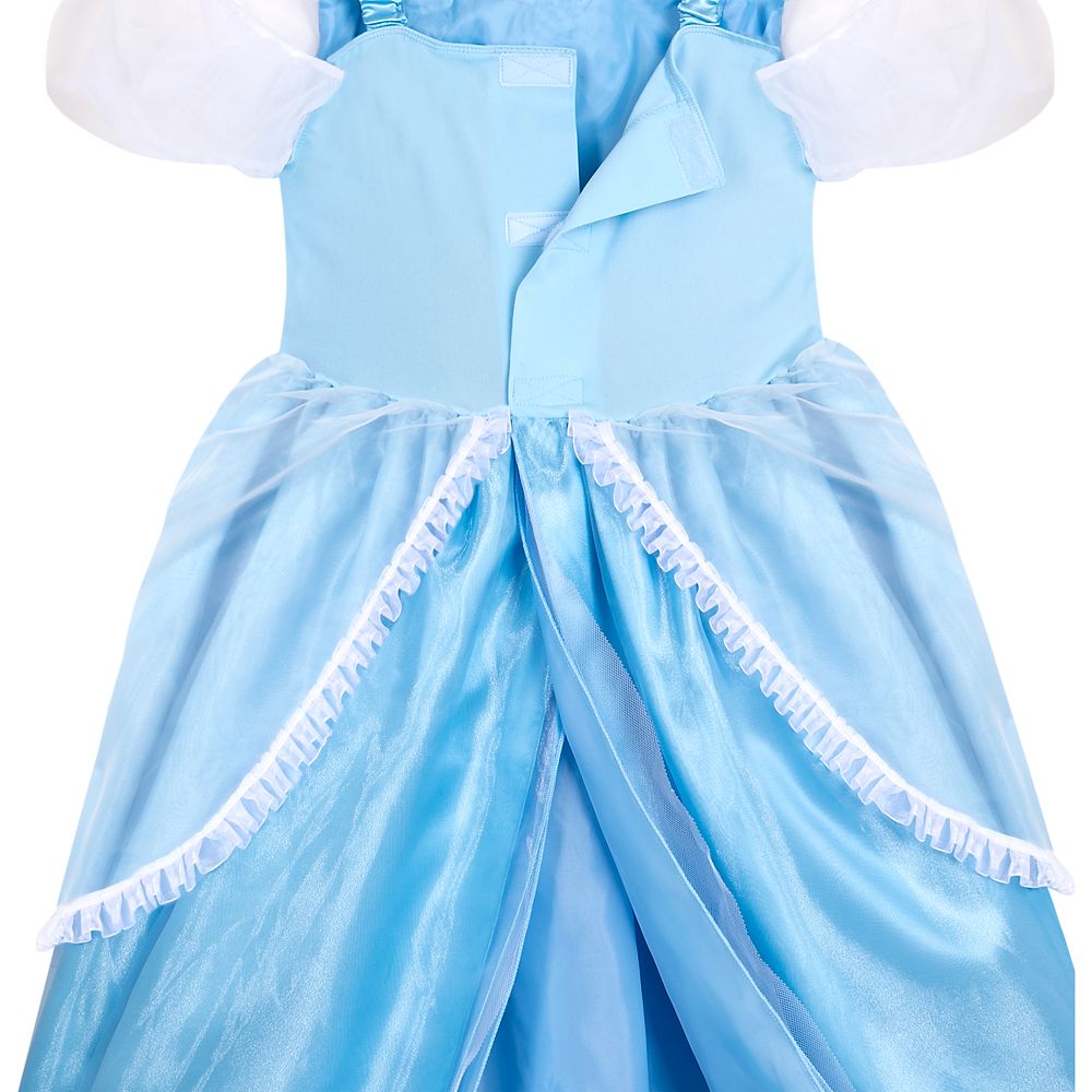 Cinderella Adaptive Costume for Adults