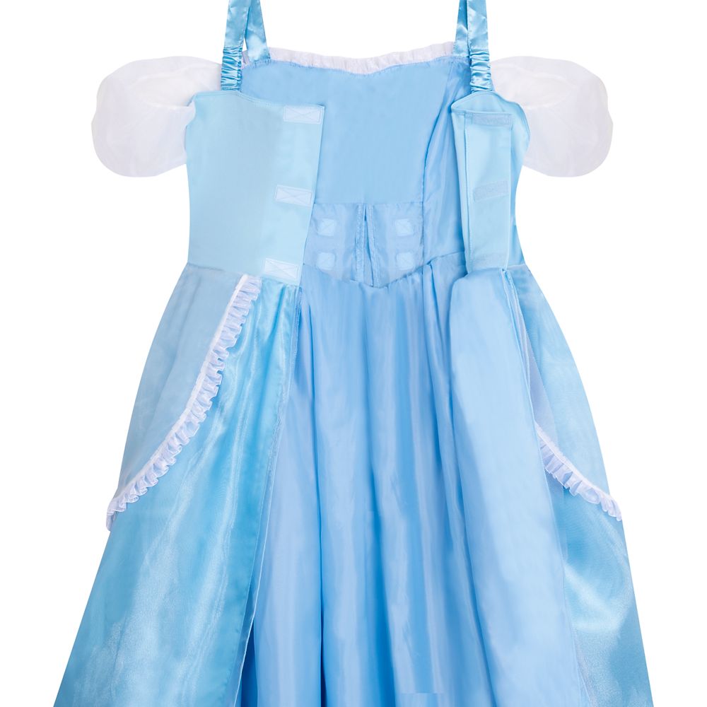 Cinderella Adaptive Costume for Adults