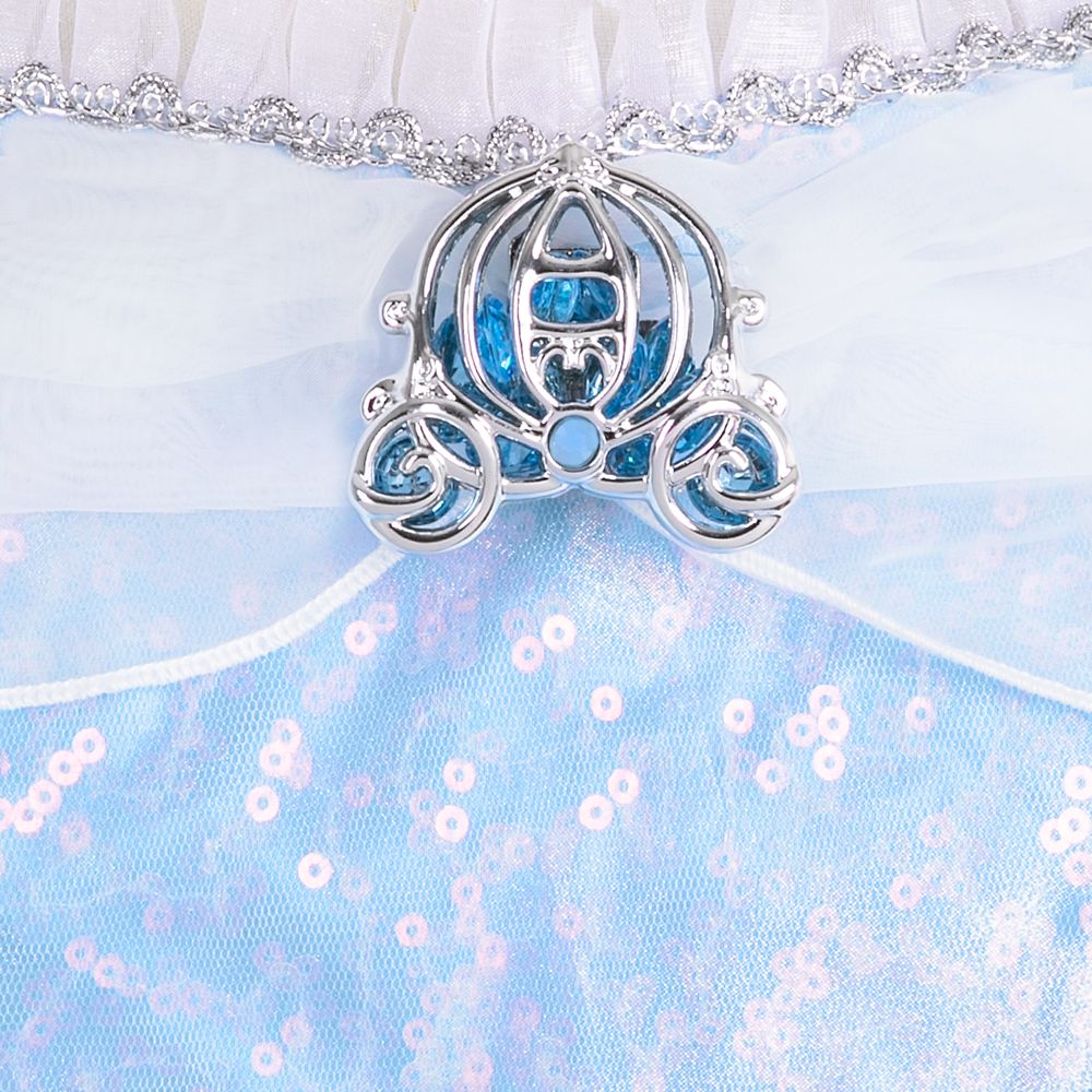Cinderella Adaptive Costume for Adults