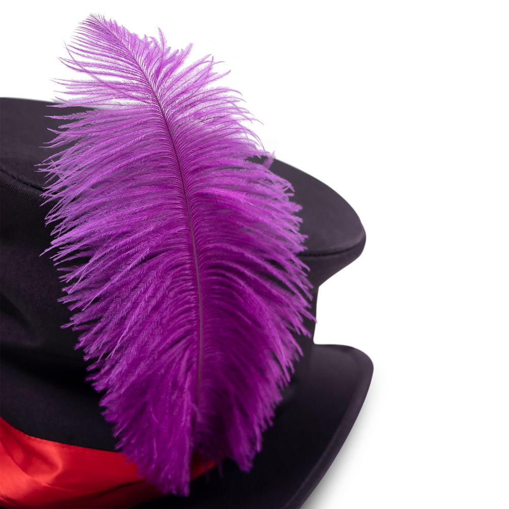 Doctor Facilier Costume Hat for Adults – The Princess and the Frog