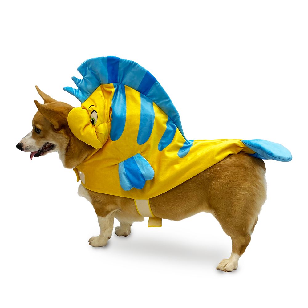 Flounder Pet Costume – The Little Mermaid is now available online