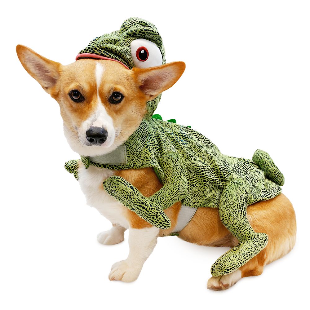 Pascal Pet Costume – Tangled