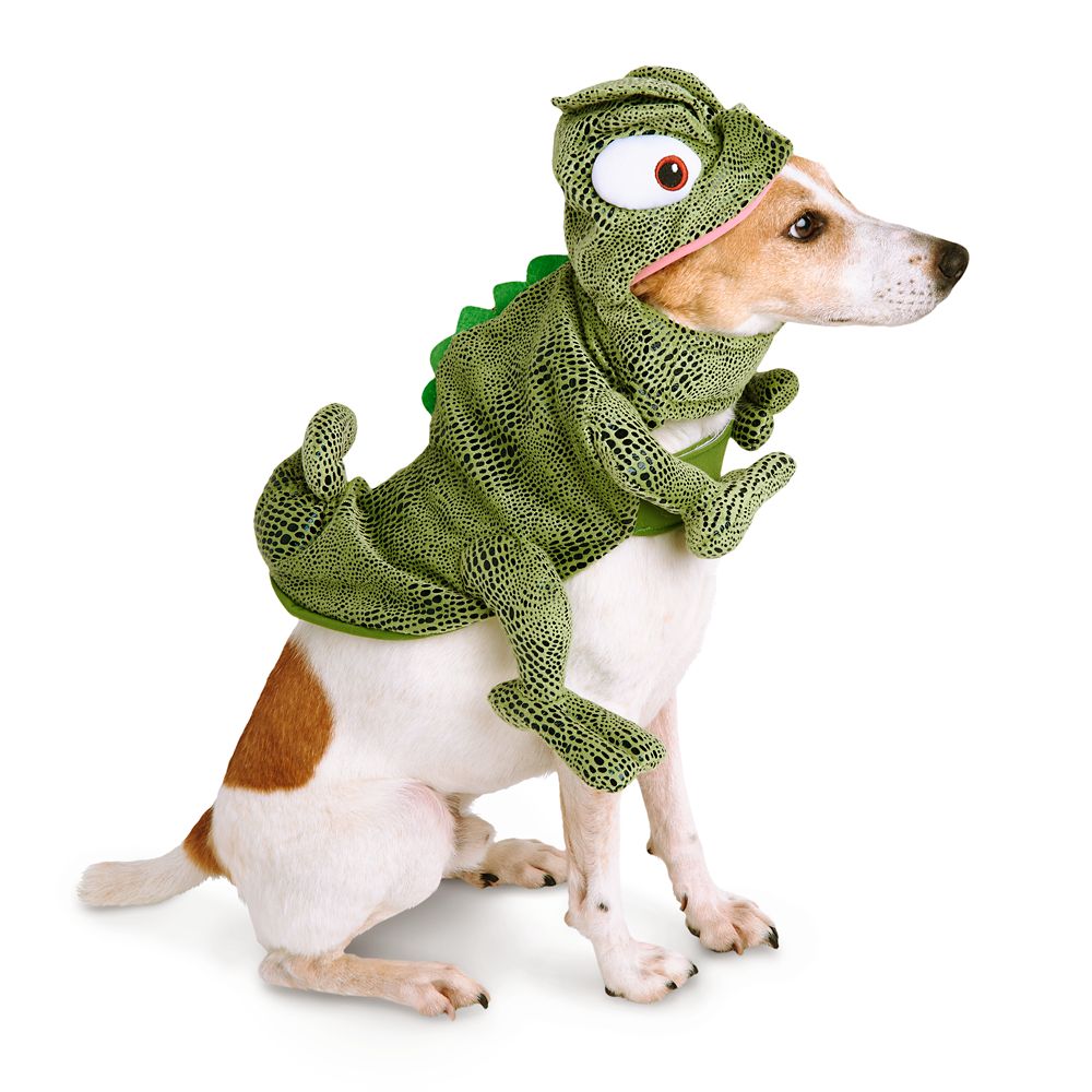 Pascal Pet Costume – Tangled now out for purchase – Dis Merchandise News