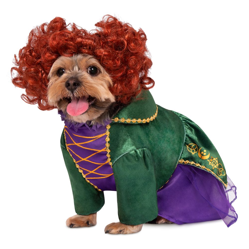Winifred Sanderson Pet Costume by Rubie’s – Hocus Pocus now out for purchase