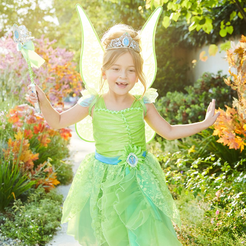 tinkerbell costume 5t