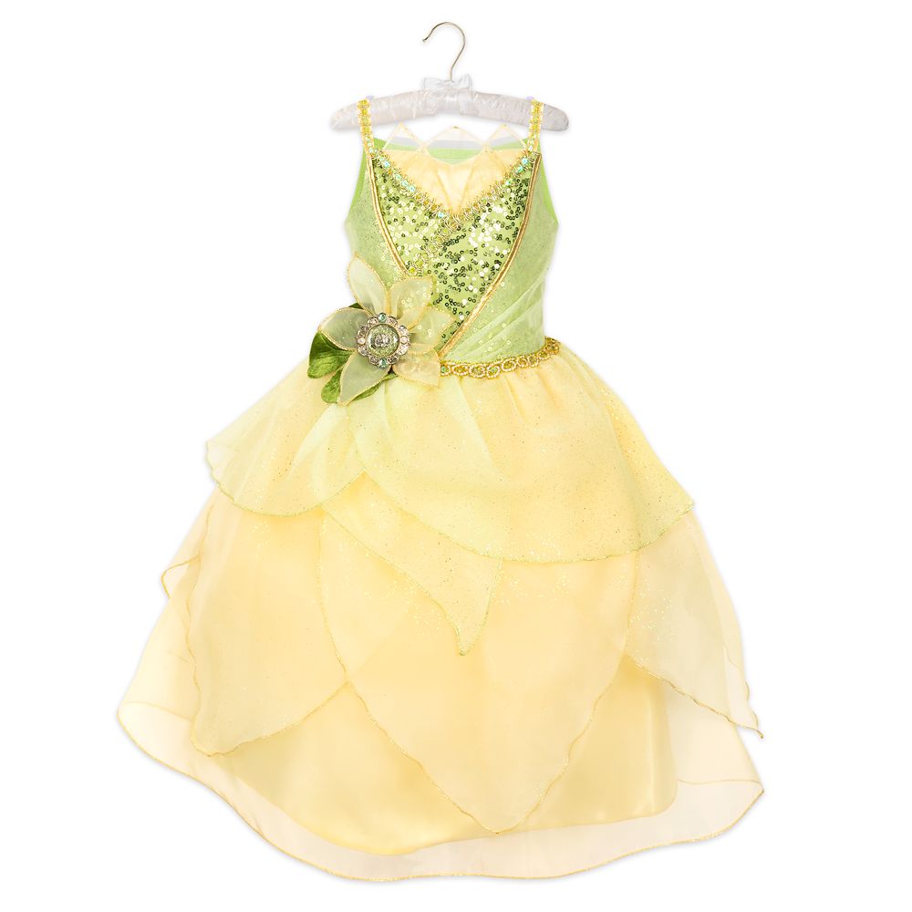 princess costume 5t