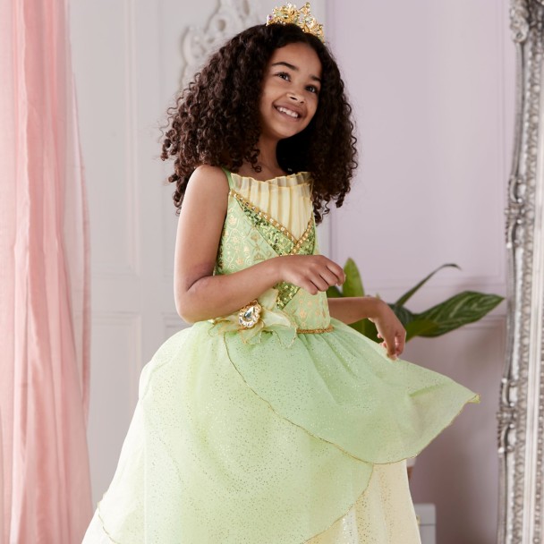 Adult Princess Tiana Costume - Disney Princess