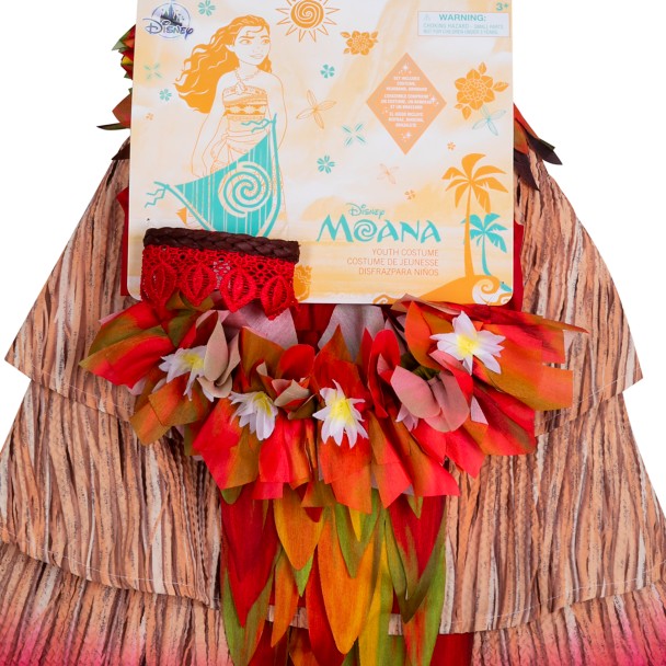 Moana Girls Costume Disney Deluxe Printed Dress Flower Hair Comb