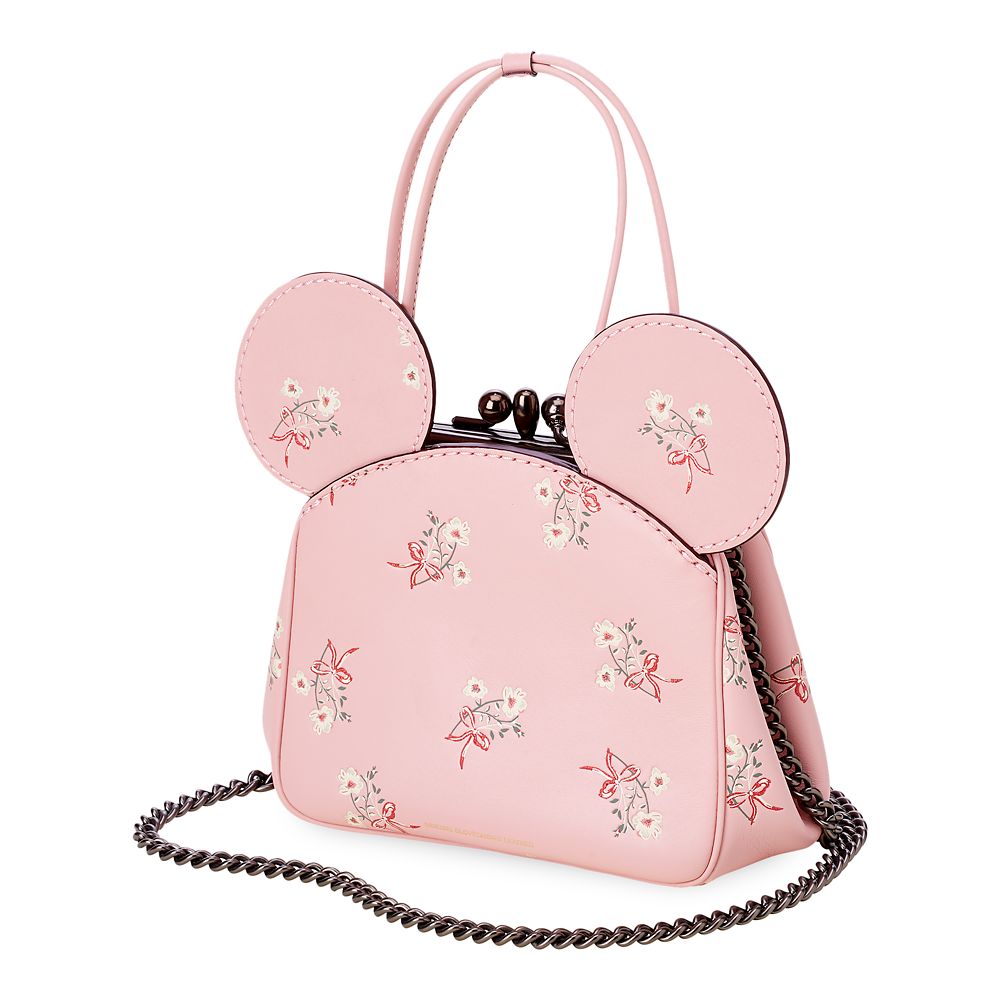 coach minnie bag