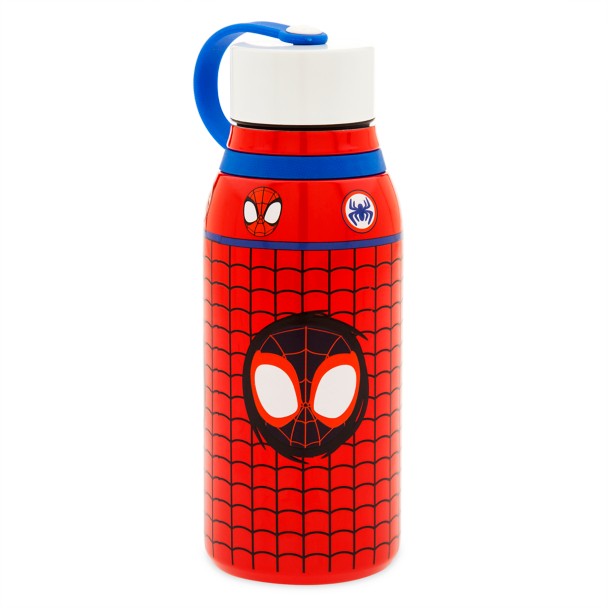 Spidey and His Amazing Friends Stainless Steel Water Bottle