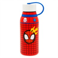 Spidey and His Amazing Friends Stainless Steel Water Bottle
