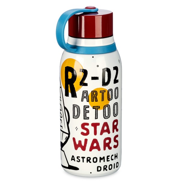 R2-D2 Stainless Steel Water Bottle – Star Wars
