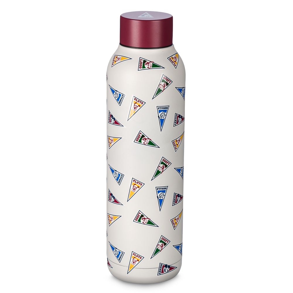 Mickey Mouse and Friends Pennant Stainless Steel Water Bottle