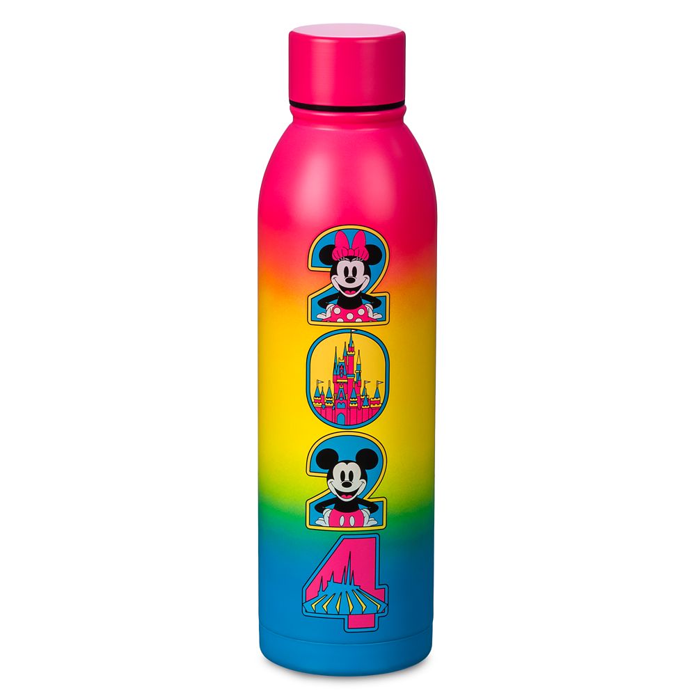 Walt Disney World 2024 Stainless Steel Water Bottle