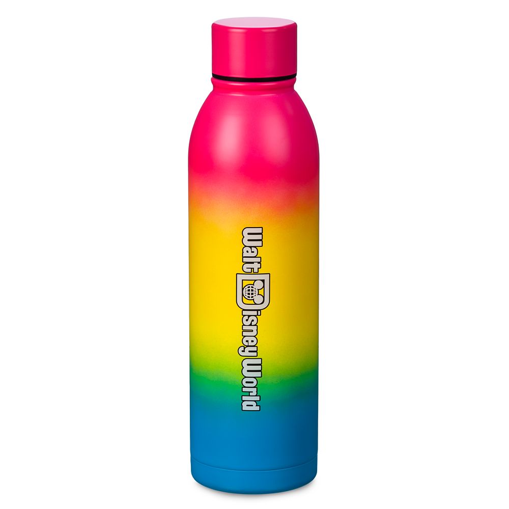 Walt Disney World 2024 Stainless Steel Water Bottle